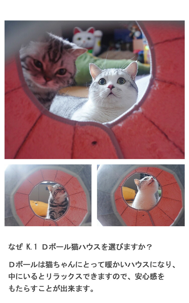 猫ハウス おしゃれ キャットハウス 猫ベッド ネコベッド トンネル 多機能 ペットベッド 8IN1 ペットハウス 猫 通気 洗える かわいい 収納簡単 折りたたみ 