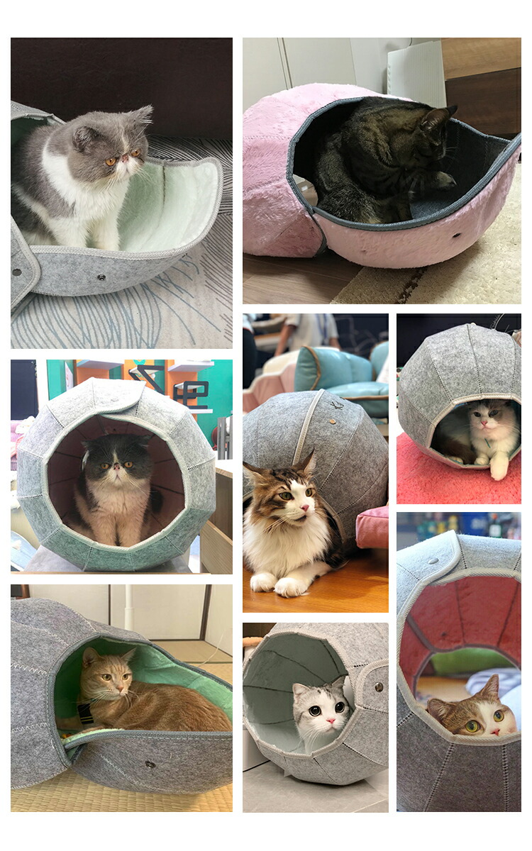 猫ハウス おしゃれ キャットハウス 猫ベッド ネコベッド トンネル 多機能 ペットベッド 8IN1 ペットハウス 猫 通気 洗える かわいい 収納簡単 折りたたみ 