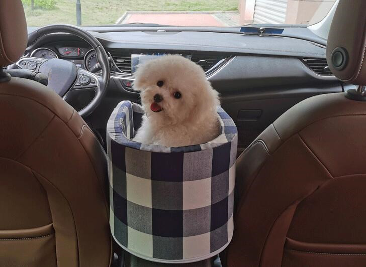 ドライブベッド ペット 洗える ドライブボックス 犬 猫 車載 お出かけ おしゃれ肘掛け ペットキャアウトドア 助手席 小型犬 運転席 座席シート 防災 旅行 