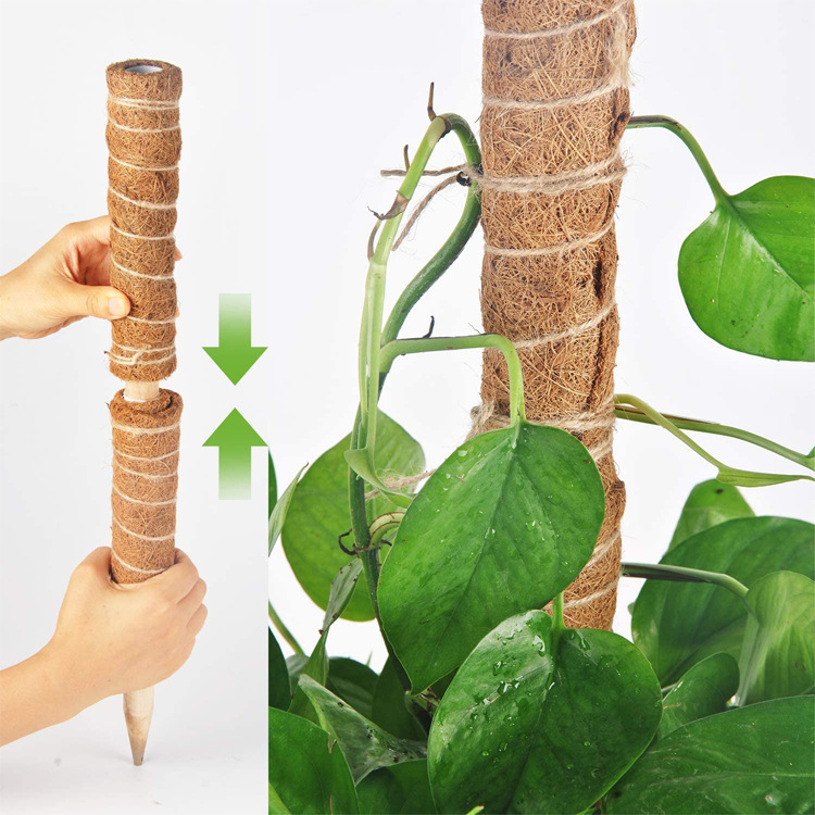 園芸用植物サポートセット（支柱4つ 麻縄2 M 植物固定クリップ25つ）  