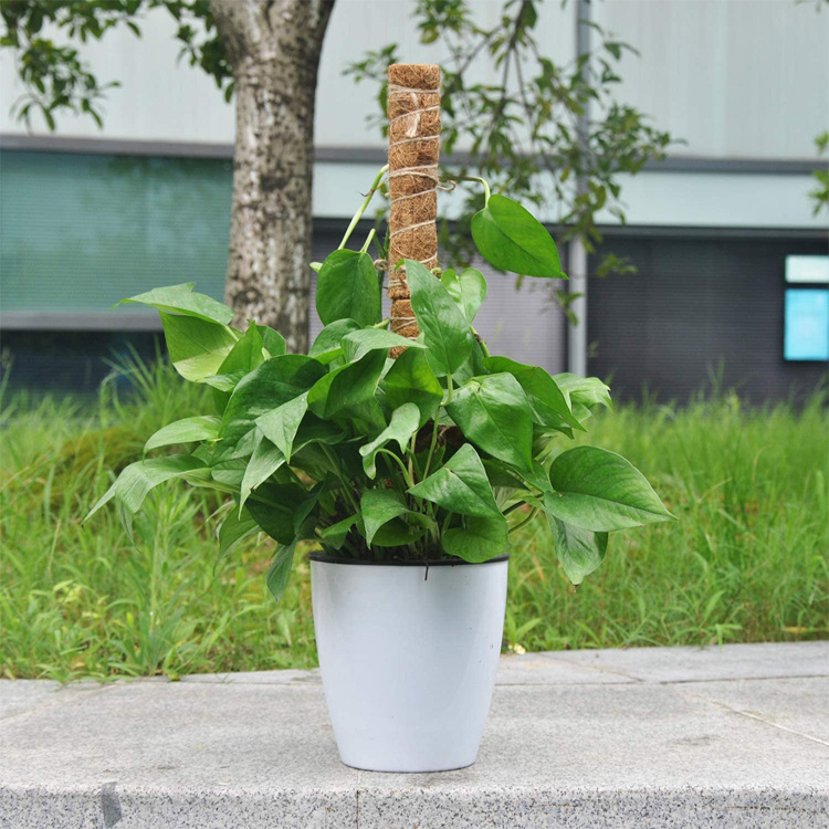 園芸用植物サポートセット（支柱4つ 麻縄2 M 植物固定クリップ25つ）  