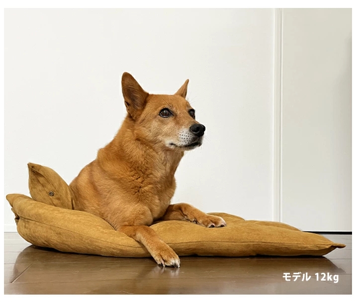 犬ベッド 多機能ペットハウス おしゃれ 3WAY 洗える ふかふか 子犬 中型犬 猫用 枕 布団 猫ベッド マット 犬用 ペットクッション まくら ペットベッド かわいい 