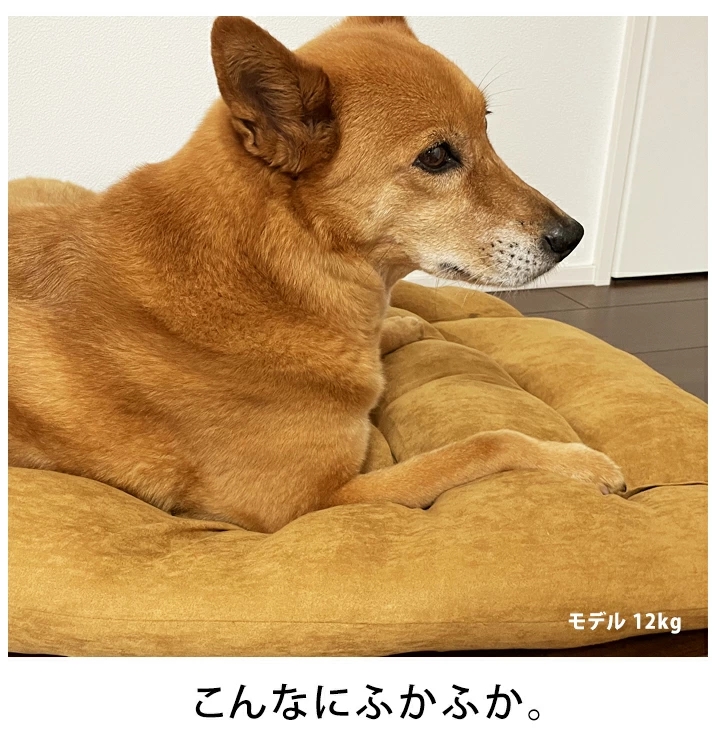 犬ベッド 多機能ペットハウス おしゃれ 3WAY 洗える ふかふか 子犬 中型犬 猫用 枕 布団 猫ベッド マット 犬用 ペットクッション まくら ペットベッド かわいい 