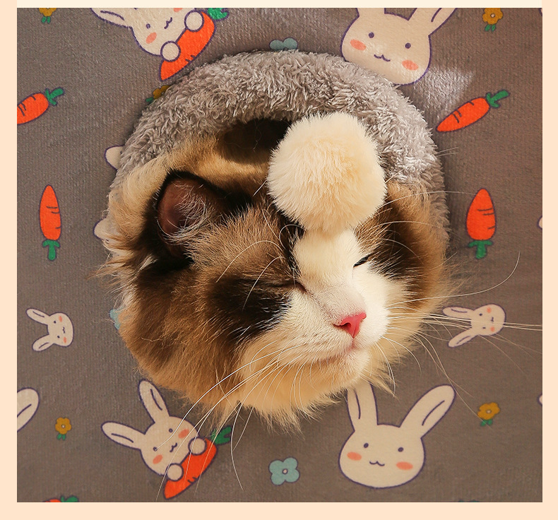 ペットハウス 犬ハウス 猫ハウス ペットベッド 猫ベッド 冬用 HOUSE 春 冬 ベッド 犬ベッド 洗える 秋 PET おしゃれ 折りたたみ 暖かい ふわふわ ドーム型 