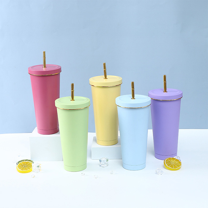 2個セット ストロー付きタンブラー 保冷 保温 真空断熱 500MLタイプ タンブラー 水滴が付かない ビール プレゼント お揃い お祝い 水筒 お酒 温くならない 