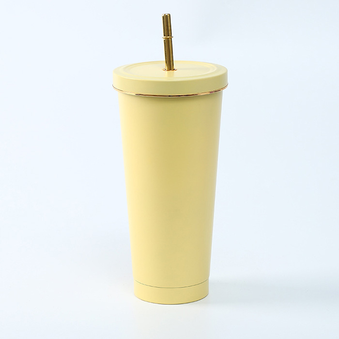 2個セット ストロー付きタンブラー 保冷 保温 真空断熱 500MLタイプ タンブラー 水滴が付かない ビール プレゼント お揃い お祝い 水筒 お酒 温くならない 