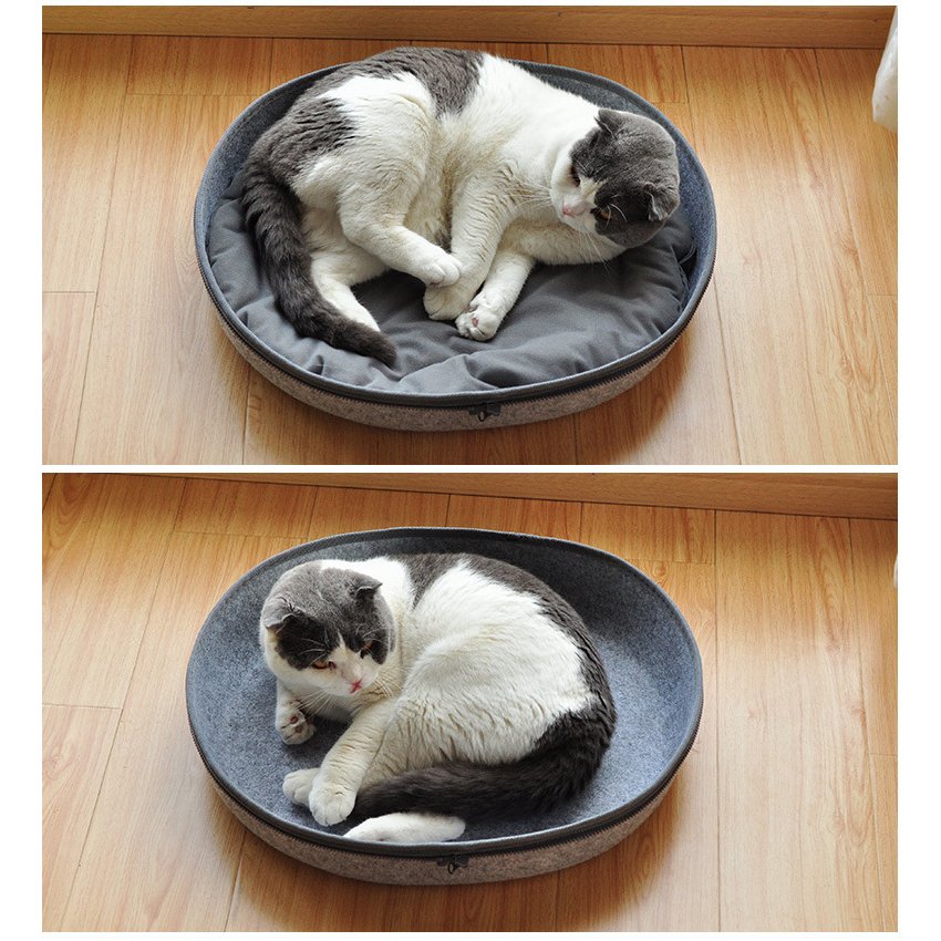 キャットハウス ドーム型 ペットベッド ドーム 卵型 猫用ベッド かまくら型 ねこ ペットハウス ネコ フェルト 送料無料 