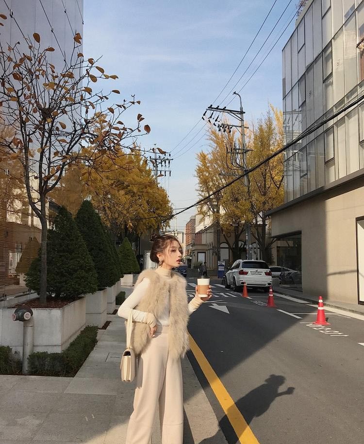 ファーベスト ファーコート レディース ジレ ファージャケット ノースリーブ 秋冬 フェイクファー ふわふわ アウター羽織り エコファー ショート丈 