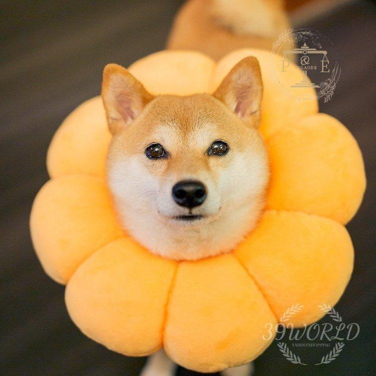 エリザベスソフトタイプ 猫用 猫用品 猫グッズ 犬用 犬用品 犬グッズ エリザベス かわいい 花 ペット用品 クッション ドーナツ 布製 