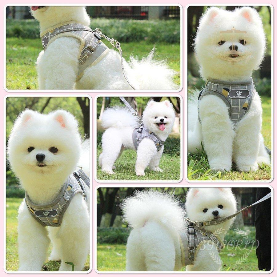 犬 ハーネス 犬用 首輪 リード 服 脱げない おしゃれ かわいい 小型犬 