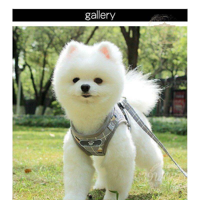 犬 ハーネス 犬用 首輪 リード 服 脱げない おしゃれ かわいい 小型犬 