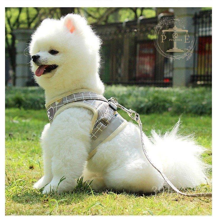犬 ハーネス 犬用 首輪 リード 服 脱げない おしゃれ かわいい 小型犬 