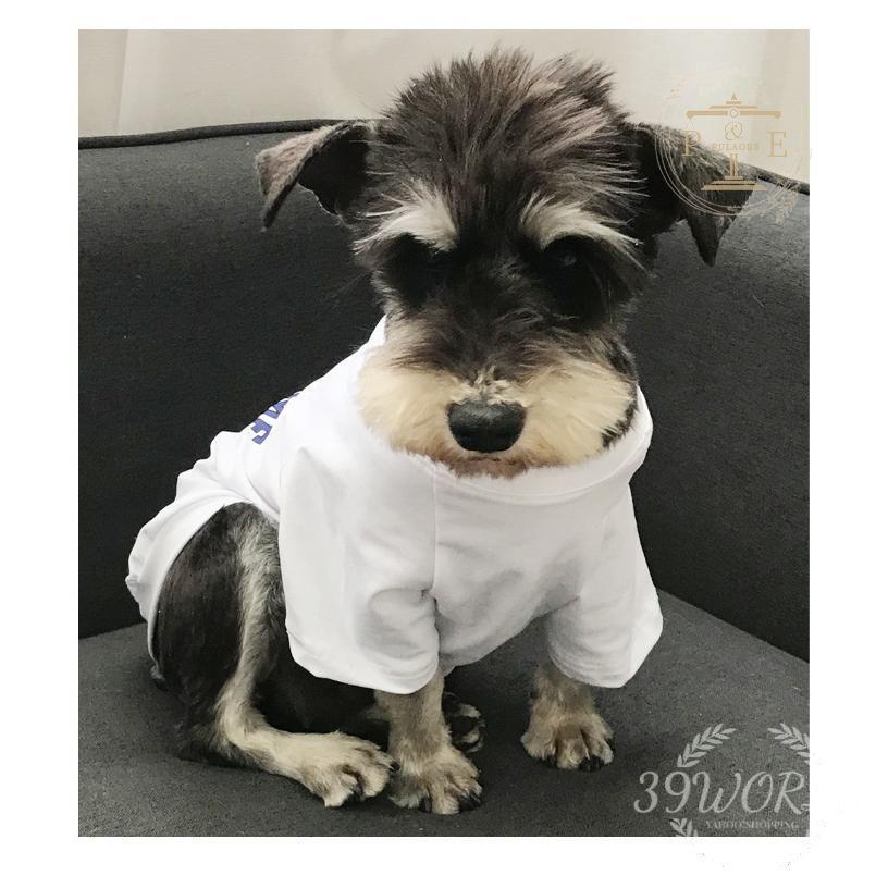 犬とお揃い 新作 犬 ペアルック 犬服 ペットと家族お揃いの服 ドッグウェア 飼い主お揃い 犬 春夏秋服Tシャツ 猫とオーナーがペアルック出来る 犬服 お揃い 