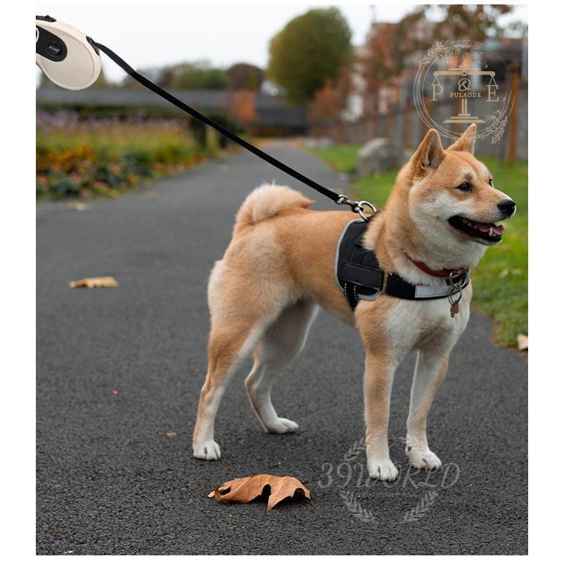 犬用リード ドッグリード ペットリード 伸縮リード 巻き取り式 ペット用品 中型犬 自動巻き取り式 小型犬 フレキシリード 5M 小型犬用 選べる6色 中型犬 