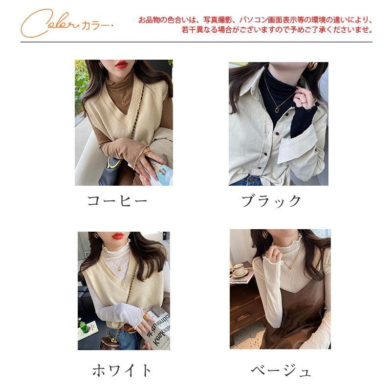 Tシャツ レディース 長袖 カットソー シースルー インナー 秋 冬 シアートップス 細身 通勤 日常 女性用 無地 普段着 きれいめ ハイネック 