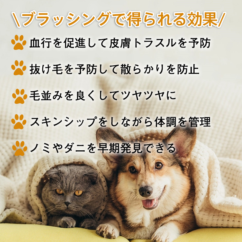 猫 ブラシ ペット用ブラシ マジック ペット コーム クリーナー 長毛種向け 短毛 魔法のペットコーム マッサージ ヘア ケアコーム 中毛 犬猫通用 