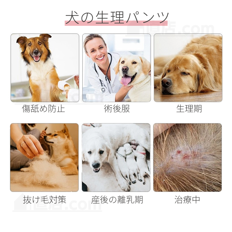 犬用 生理パンツ おむつカバー サニタリーパンツ 犬用マナーパンツ マナーベルト 介護 小中型犬 オムツ 犬 生理パンツ ドッグウェア生理用 犬服 犬用おむつ 