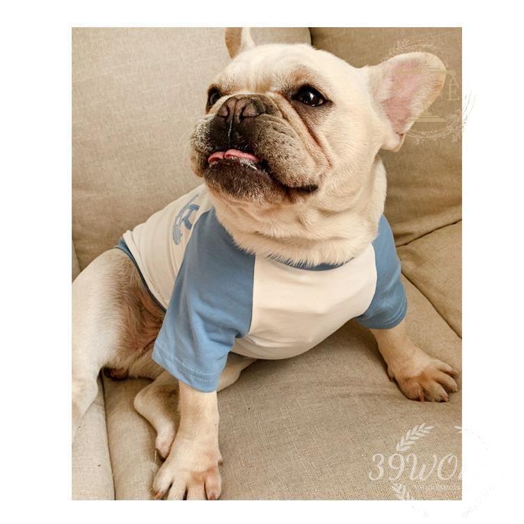 ペット 夏服 半袖Tシャツ ペット ペアルック 犬とお揃い服 犬の服 コーデ ドッグウェア 洋服 犬服親子 お出かけに 飼い主 ペットとオーナーのお揃い 