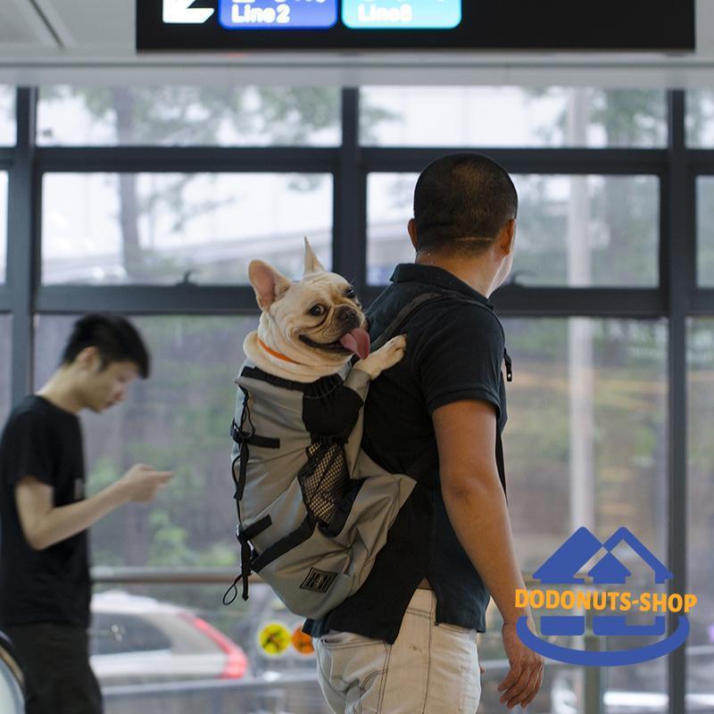 ペット用キャリーおんぶ紐 抱っこひも リュックタイプ ペットキャペット用 小型犬 中型犬 イヌ メッシュ ネコ シンプル 便利 猫 無地 