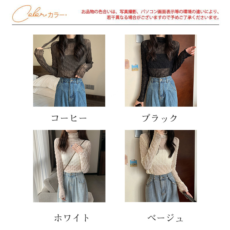 Tシャツ レディース 長袖 カットソー シースルー ハイネック 通勤 無地 きれいめ 日常 冬 細身 秋 女性用 インナー シアートップス 普段着 