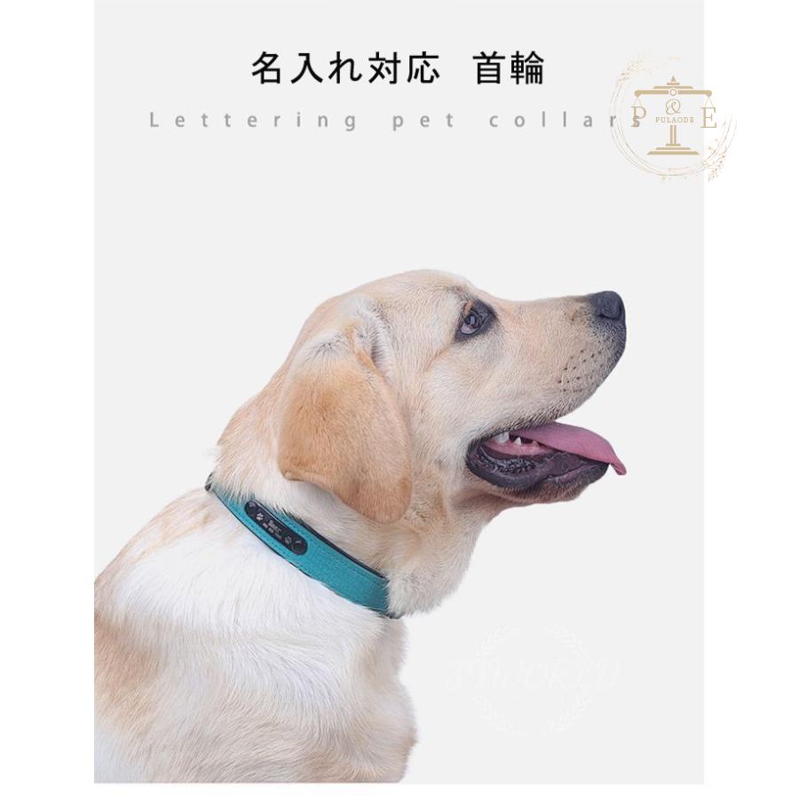 名入れ対応 首輪 犬 首輪 猫 首輪 首輪 軽量 迷子札 名札 犬の首輪 中・大型犬用 レザー 迷子札チョーカー 名入れ ホ革 首輪 ネックレス 
