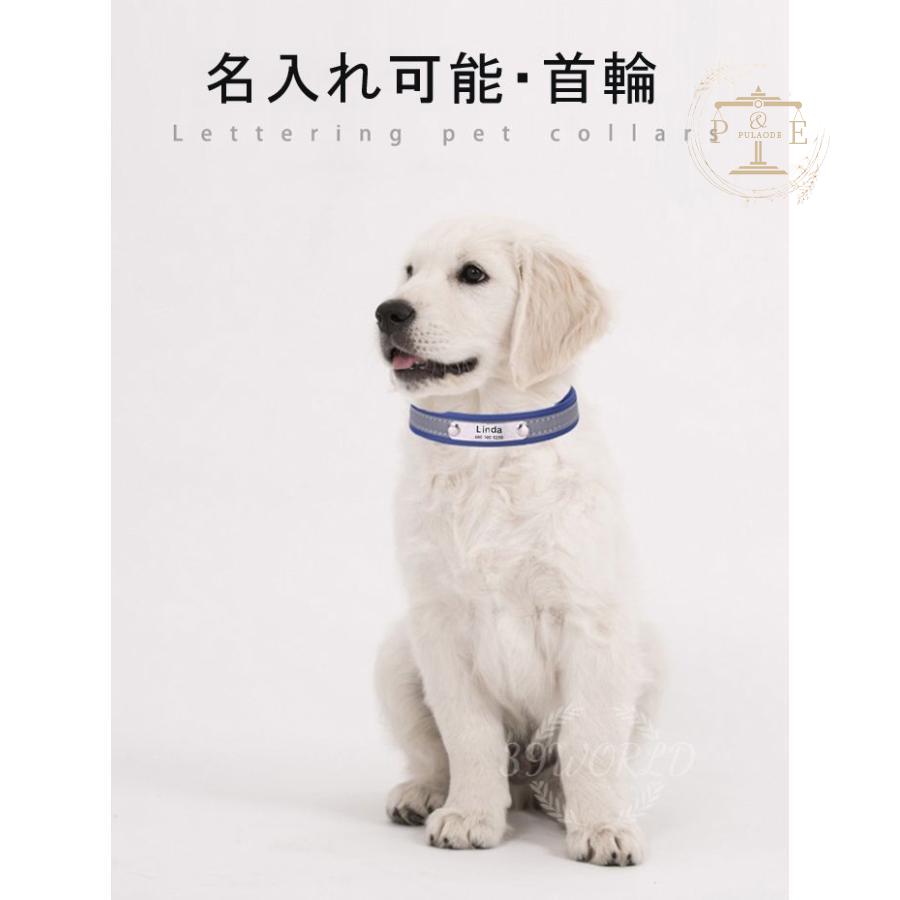 首輪 名前入 小型犬 中型犬 大型犬 首輪 メタル 雑貨 安全 迷子札 デザイン ペット用品 犬 猫用品 IDタグ 名札 光る シンプル 