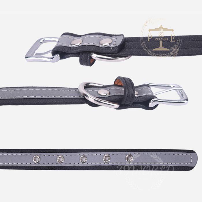 首輪 名前入 小型犬 中型犬 大型犬 首輪 メタル 雑貨 安全 迷子札 デザイン ペット用品 犬 猫用品 IDタグ 名札 光る シンプル 