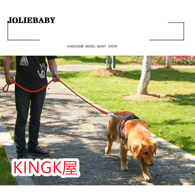 犬用ハーネスリード 牽引ロープ リードセット 犬 猫 ペット牽引縄 胸あて式 ハーネス 中型犬 大型犬 お散歩グッズ ペット用品 小型犬 引っ張り防止 ドッグリード
