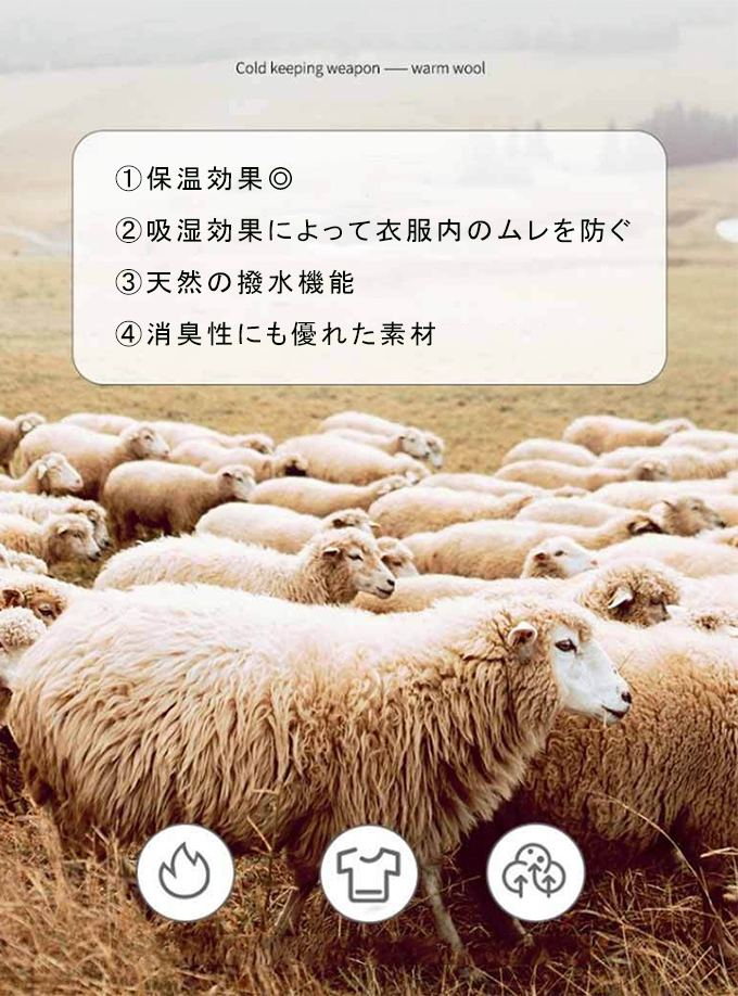 保温カットソー 暖かい インナー レイヤード レディース 保温 クルーネック ボトルネック ３タイプ タートルネック 