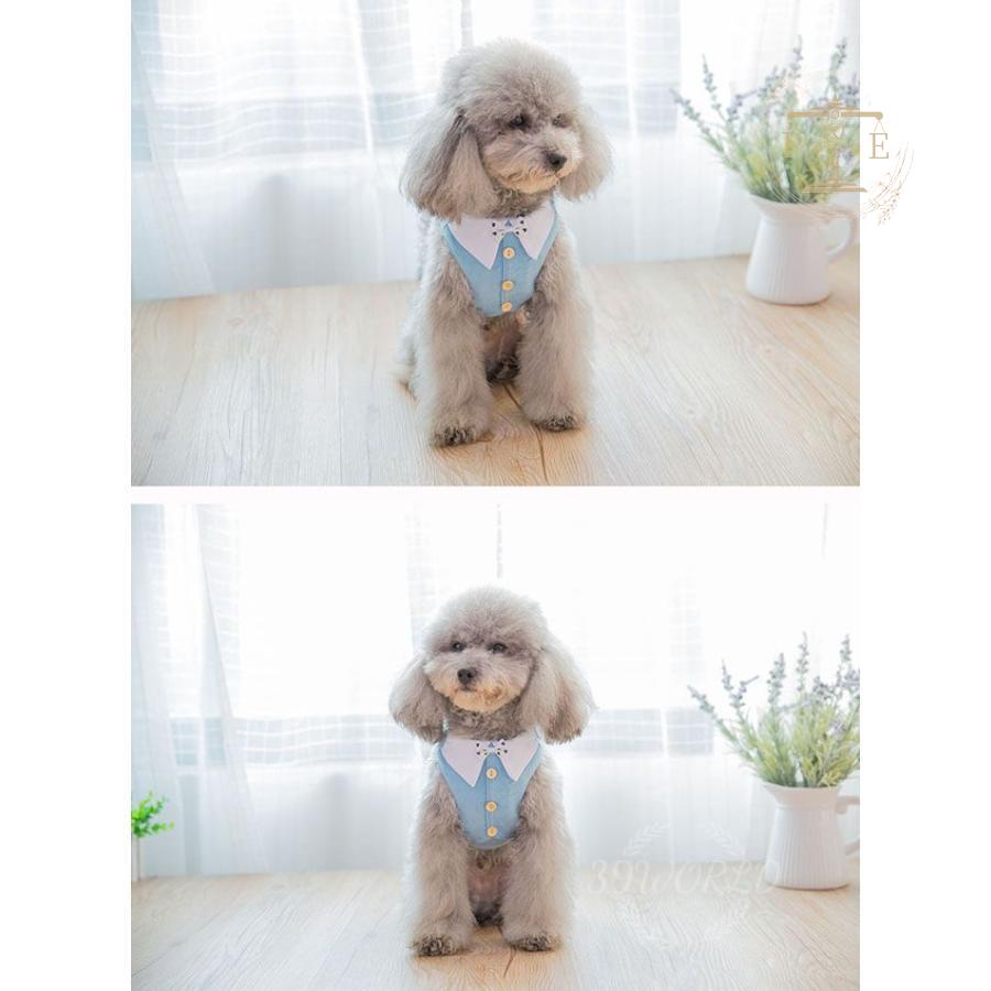 犬 ハーネス ペット 小型犬用 首輪 ペット リサとガスパール ハーネス ボーダー 犬用 ベストハーネス 。 L XLおしゃれ ペット用 ＳＭ 