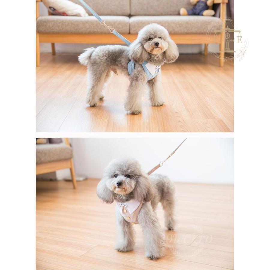 犬 ハーネス ペット 小型犬用 首輪 ペット リサとガスパール ハーネス ボーダー 犬用 ベストハーネス 。 L XLおしゃれ ペット用 ＳＭ 