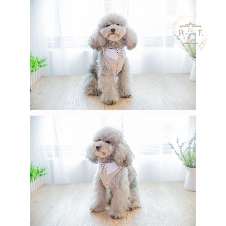 犬 ハーネス ペット 小型犬用 首輪 ペット リサとガスパール ハーネス ボーダー 犬用 ベストハーネス 。 L XLおしゃれ ペット用 ＳＭ 
