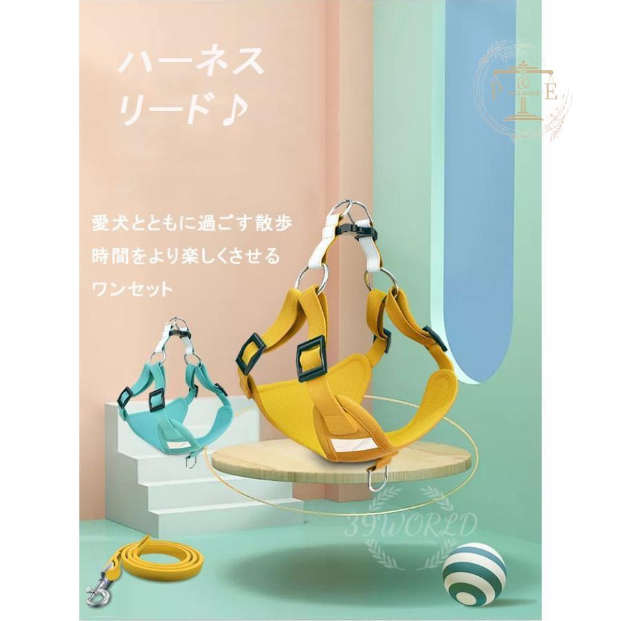 ハーネスリード リード ハーネス ２点セット 反射 胴輪 キャットウェア セットアップ ドッグウェア 犬服 ベスト シンプル 小型犬 ペット服 猫服 