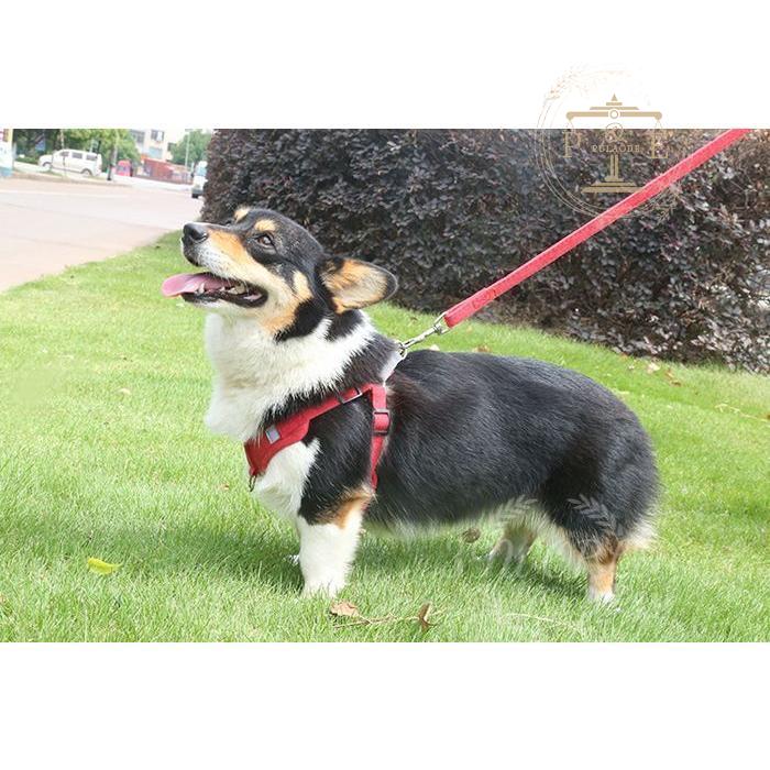 ハーネスリード リード ハーネス ２点セット 反射 胴輪 キャットウェア セットアップ ドッグウェア 犬服 ベスト シンプル 小型犬 ペット服 猫服 