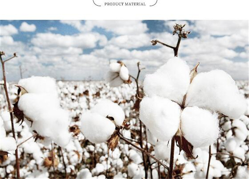 タオル 2枚セット フェイスタオル 速乾タオル ストライプ柄 シンプル ギフト新生活 業務用 吸水 家庭用 カジュアル コンパクト お風呂用 薄手 