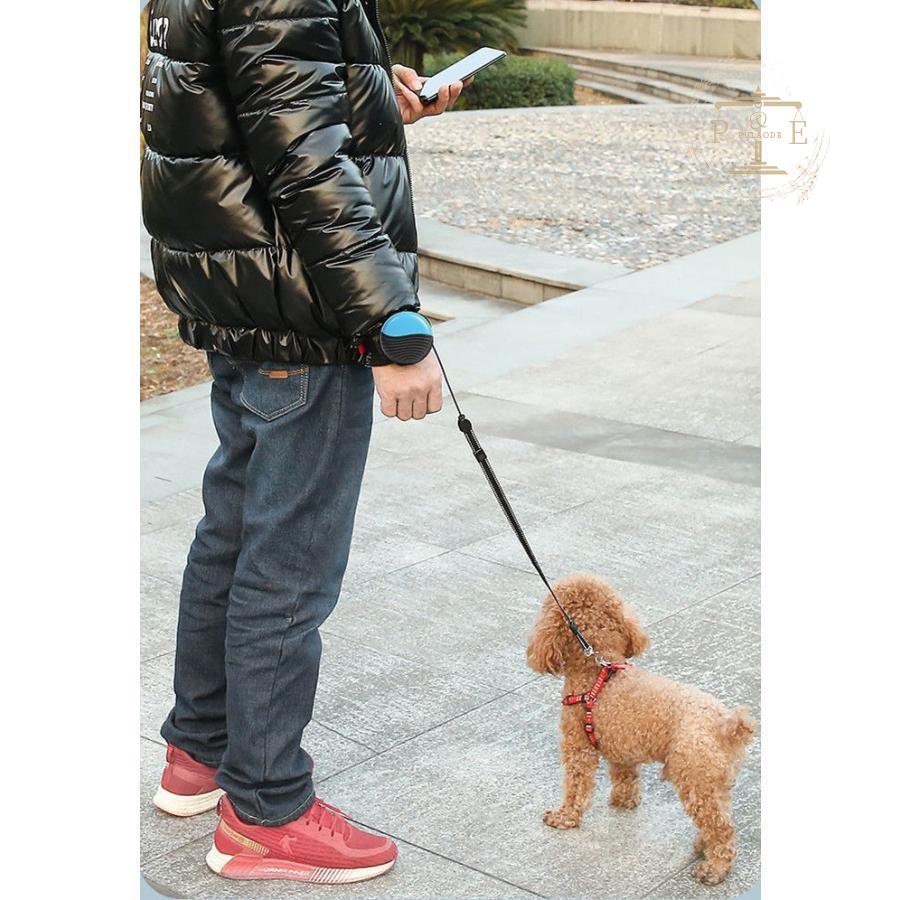 犬用リード ドッグリード ペットリード 伸縮リード 巻き取り式 ペット用品 選べる4色 フレキシリード 中型犬 小型犬用 自動巻き取り式 3M 小型犬 