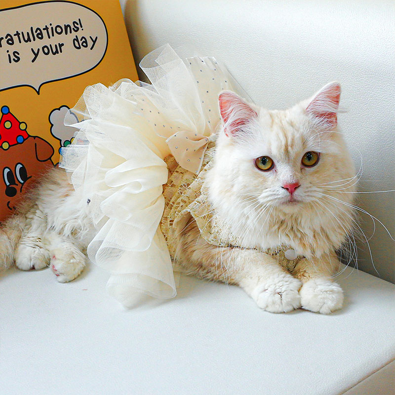 ペットウェア ペット用品 犬 猫 犬の服 洋服 部屋着 オールインワン 安い ドレス 小型犬 かわいい お散歩 パンツ おしゃれ お出かけ 春秋 スカート 寝間着 