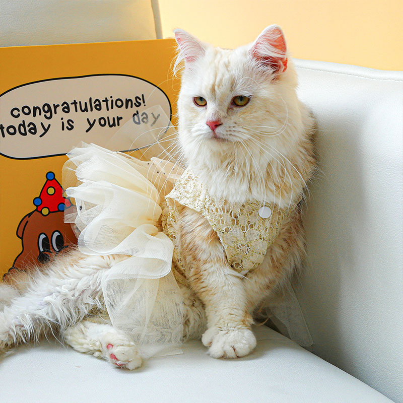 ペットウェア ペット用品 犬 猫 犬の服 洋服 部屋着 オールインワン 安い ドレス 小型犬 かわいい お散歩 パンツ おしゃれ お出かけ 春秋 スカート 寝間着 