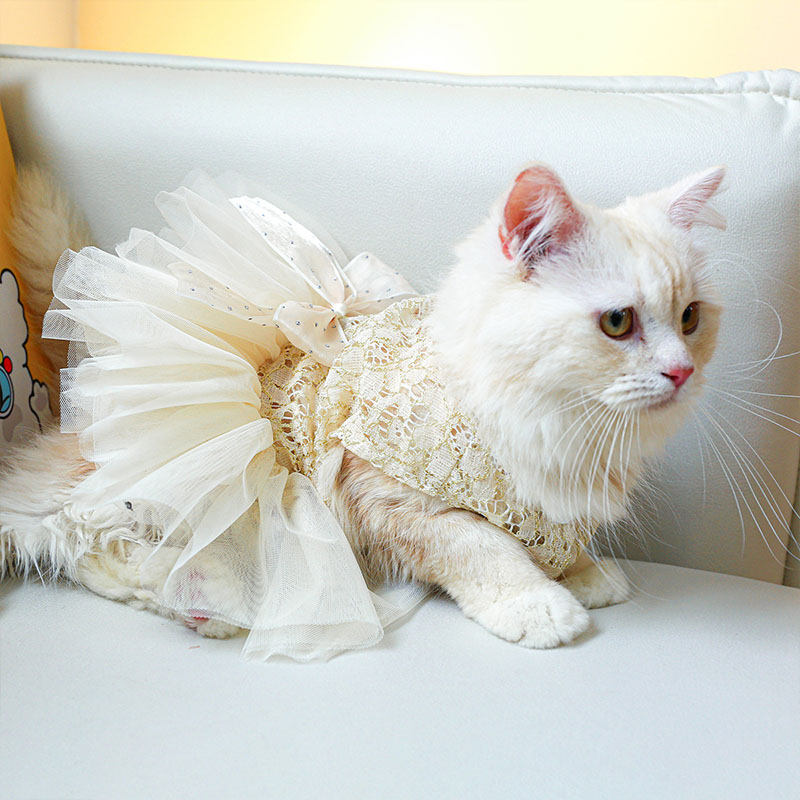 ペットウェア ペット用品 犬 猫 犬の服 洋服 部屋着 オールインワン 安い ドレス 小型犬 かわいい お散歩 パンツ おしゃれ お出かけ 春秋 スカート 寝間着 