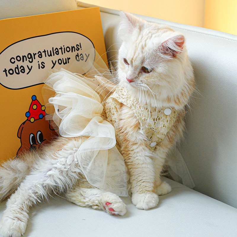 ペットウェア ペット用品 犬 猫 犬の服 洋服 部屋着 オールインワン 安い ドレス 小型犬 かわいい お散歩 パンツ おしゃれ お出かけ 春秋 スカート 寝間着 