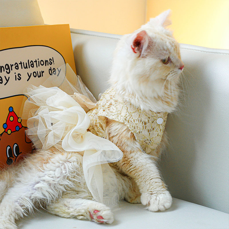 ペットウェア ペット用品 犬 猫 犬の服 洋服 部屋着 オールインワン 安い ドレス 小型犬 かわいい お散歩 パンツ おしゃれ お出かけ 春秋 スカート 寝間着 