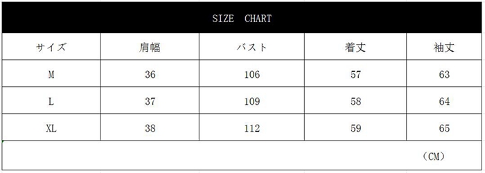 レースブラウス 長袖 シフォンシャツ 花柄 春秋 トップス プチハイネック トップス フリル シャツブラウス インナー レディース 