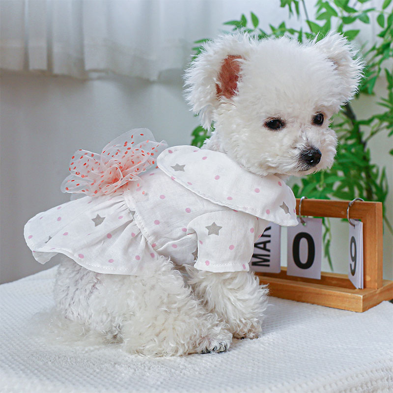 ペットウェア ペット用品 犬 猫 犬の服 洋服 パンツ 寝間着 おしゃれ 部屋着 お出かけ 小型犬 安い 春秋 かわいい スカート ドレス お散歩 オールインワン 