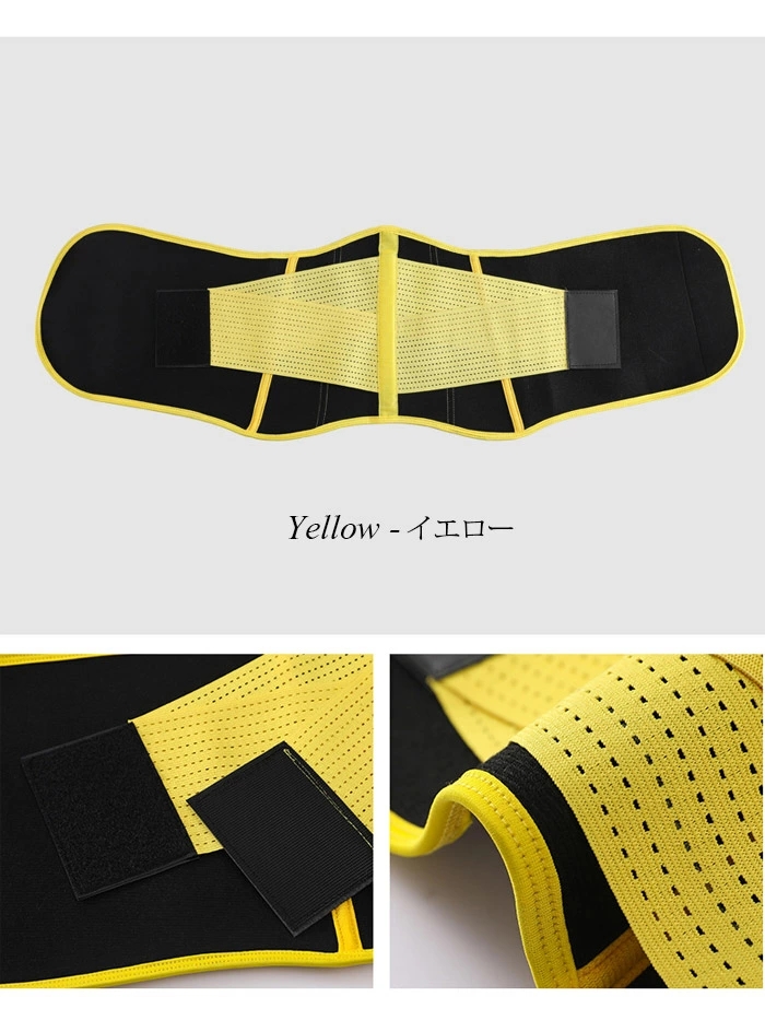 日常腰サポートに適して  