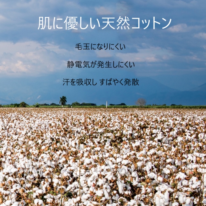 天然素材 綿 ハイウエスト レギンス M L 3XL 乾燥肌 ナチュナル 天然 のびのび コットン 伸縮 春 2XL ストレッチ XL レディース 静電気防 秋 敏感肌 お腹カバー 