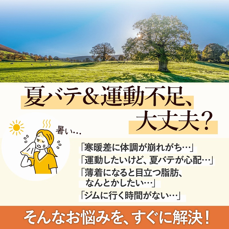 スライドディスク バランス 筋力 トレーニング 体幹 2個セット 運動 お尻 ダイエット 。 おうち時間 フィットネス エクササイズ 太もも 二の腕 リハビリ 室内 