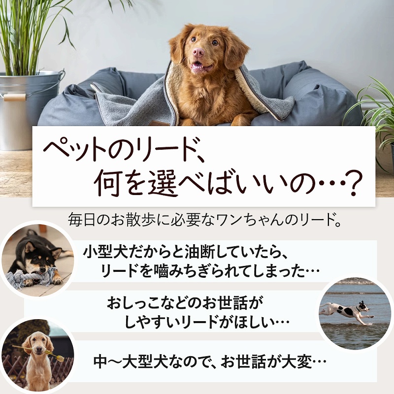 犬用 リード 肩掛け ショルダーリード ハンズフランニング ジョギング ペット用品 。 丈夫 おすすめ 中型犬 ストラップ 小型犬 ロングリード 大型犬 