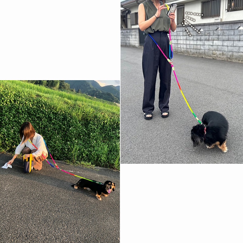 犬用 リード 肩掛け ショルダーリード ハンズフランニング ジョギング ペット用品 。 丈夫 おすすめ 中型犬 ストラップ 小型犬 ロングリード 大型犬 