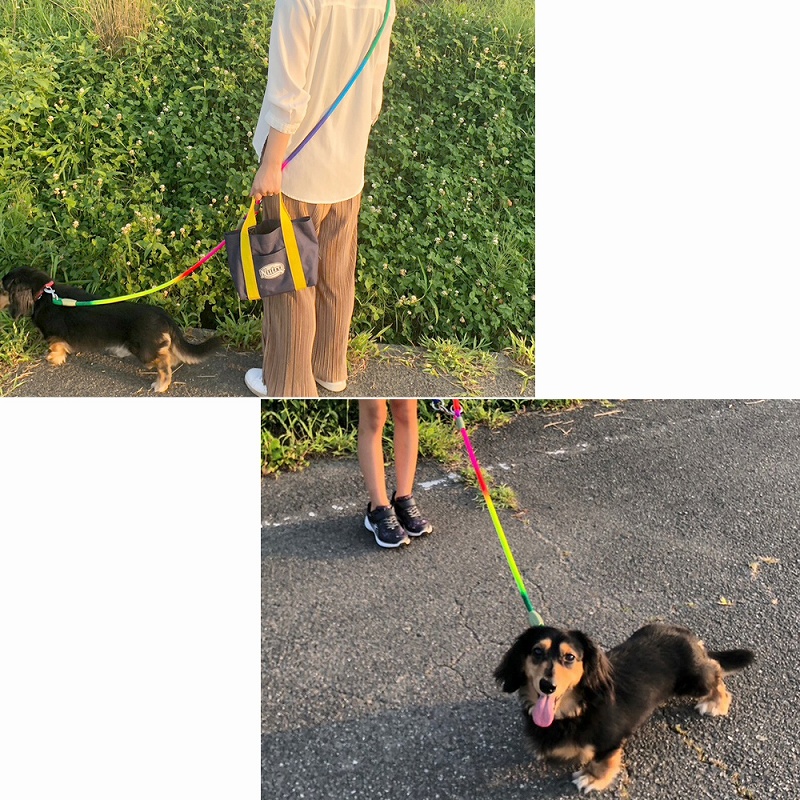 犬用 リード 肩掛け ショルダーリード ハンズフランニング ジョギング ペット用品 。 丈夫 おすすめ 中型犬 ストラップ 小型犬 ロングリード 大型犬 