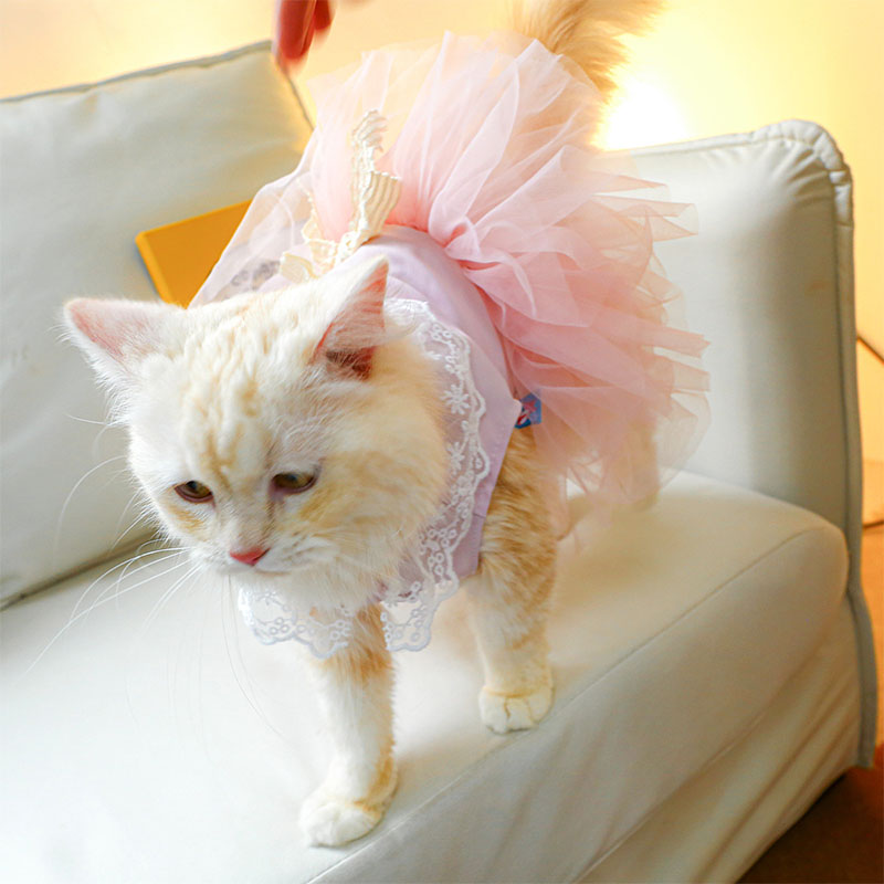 ペットウェア ペット用品 犬 猫 犬の服 洋服 お散歩 スカート かわいい お出かけ おしゃれ ドレス オールインワン 部屋着 寝間着 小型犬 パンツ 安い 春秋 